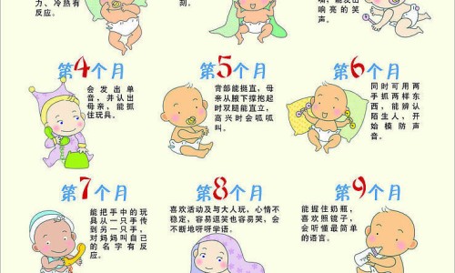 孕妇补血吃那些食物好呢-孕妇补血吃那些食物最好、孕妇补血口服液哪个牌子好 -孕妇补血吃那些食物网
