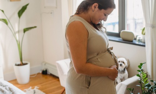 孕妇补血吃什么最好最快-孕妇补血吃那些食物最好、孕妇补血口服液哪个牌子好 -孕妇补血吃那些食物网